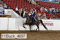11buck_4697 proof