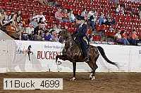 11buck_4699 proof