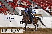 11buck_4701 proof