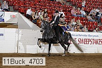 11buck_4703 proof