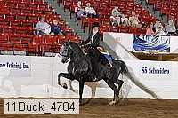 11buck_4704 proof