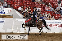 11buck_4709 proof