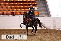 11buck_4711 proof