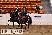 11buck_4713 proof