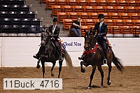 11buck_4716 proof