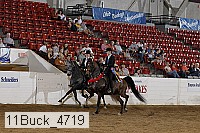 11buck_4719 proof