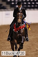 11buck_4720 proof