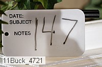 11buck_4721 proof