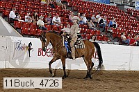 11buck_4726 proof