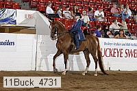 11buck_4731 proof