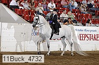 11buck_4732 proof