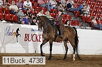 11buck_4738 proof