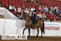 11buck_4746 proof