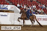 11buck_4754 proof