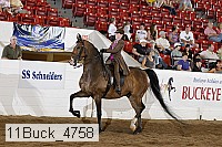 11buck_4758 proof