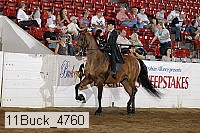 11buck_4760 proof