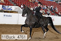 11buck_4761 proof