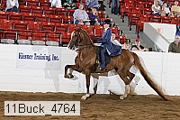 11buck_4764 proof