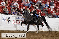 11buck_4770 proof
