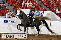 11buck_4772 proof