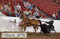 11buck_4776 proof