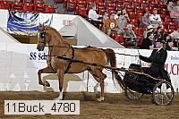11buck_4780 proof