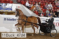 11buck_4784 proof