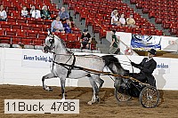 11buck_4786 proof