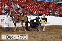 11buck_4793 proof