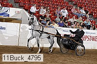 11buck_4795 proof