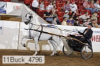 11buck_4796 proof