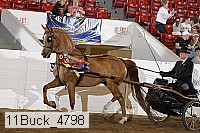 11buck_4798 proof