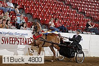 11buck_4800 proof