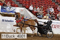 11buck_4801 proof