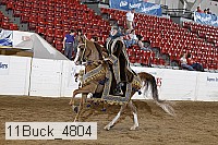 11buck_4804 proof