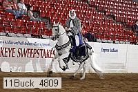 11buck_4809 proof