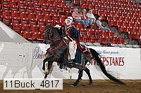 11buck_4817 proof