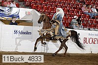 11buck_4833 proof