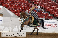 11buck_4834 proof