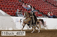 11buck_4837 proof