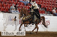 11buck_4840 proof