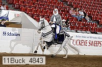 11buck_4843 proof
