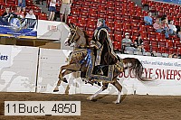 11buck_4850 proof