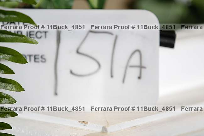 Proof 11buck_4851