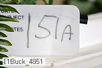 11buck_4851 proof