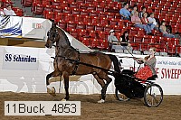11buck_4853 proof