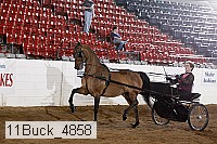 11buck_4858 proof