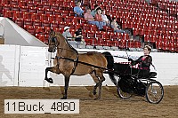 11buck_4860 proof