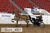 11buck_4861 proof