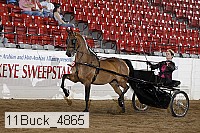 11buck_4865 proof